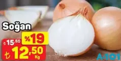 SOĞAN KG SOĞAN KG